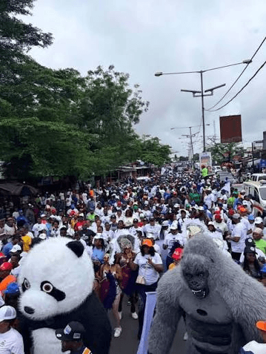 Crowd of supporters with costumed mascots at the rally